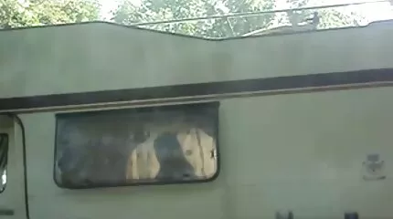 Mooie gratis porno m seks na een wandeling vervulde de verlangens van een geliefde