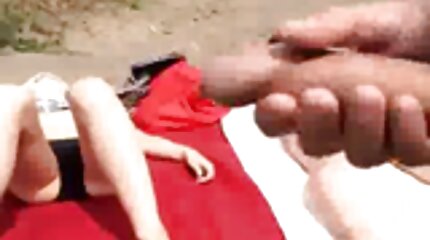 Gegeven aan de tutor