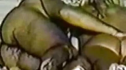 Tevreden Jong uitstekend seks gratis pornfilms