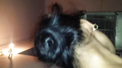 Alleen Poolse volwassen zal kopen pornofilmen gratis Pick-Up fietsen